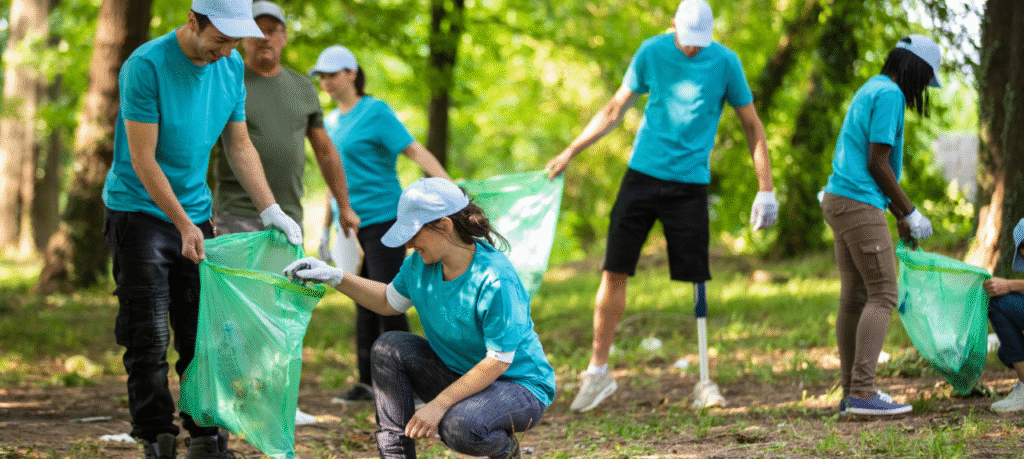 Social Dimensions of İns